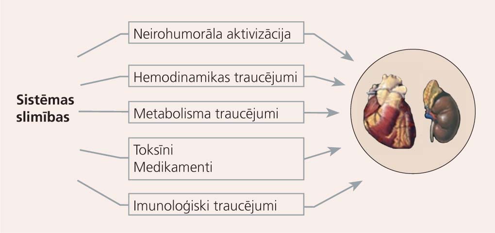 KRS V tipa patofizioloģiskais mehānisms
