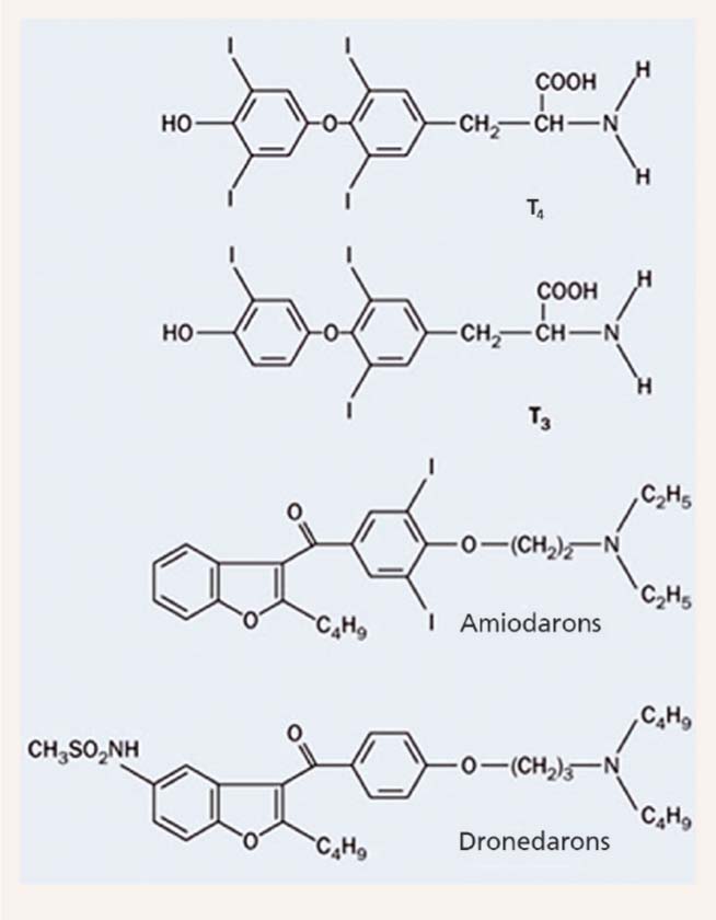 T3 un T4  struktūras, amiodarons  un dronedarons [2]