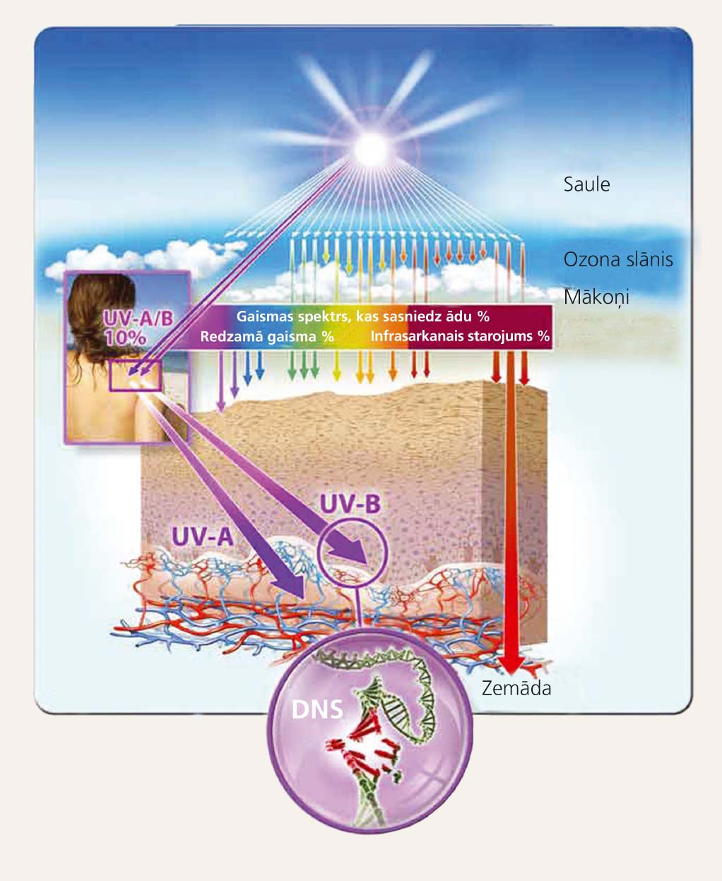 UV starojuma ietekme uz ādu