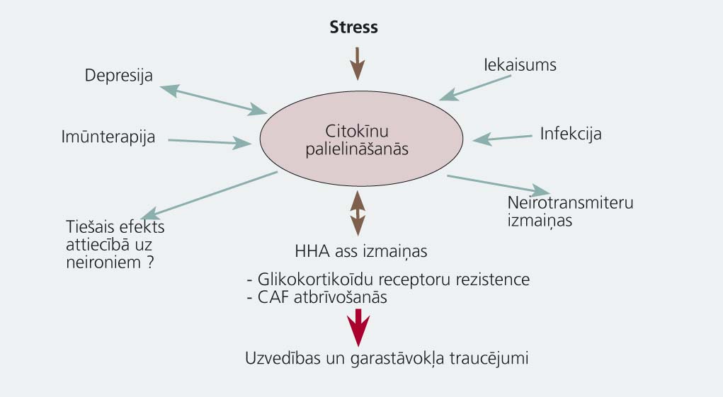 Depresijas “Stress-diathesis” modelis  pēc Nemerova (Nemeroff)