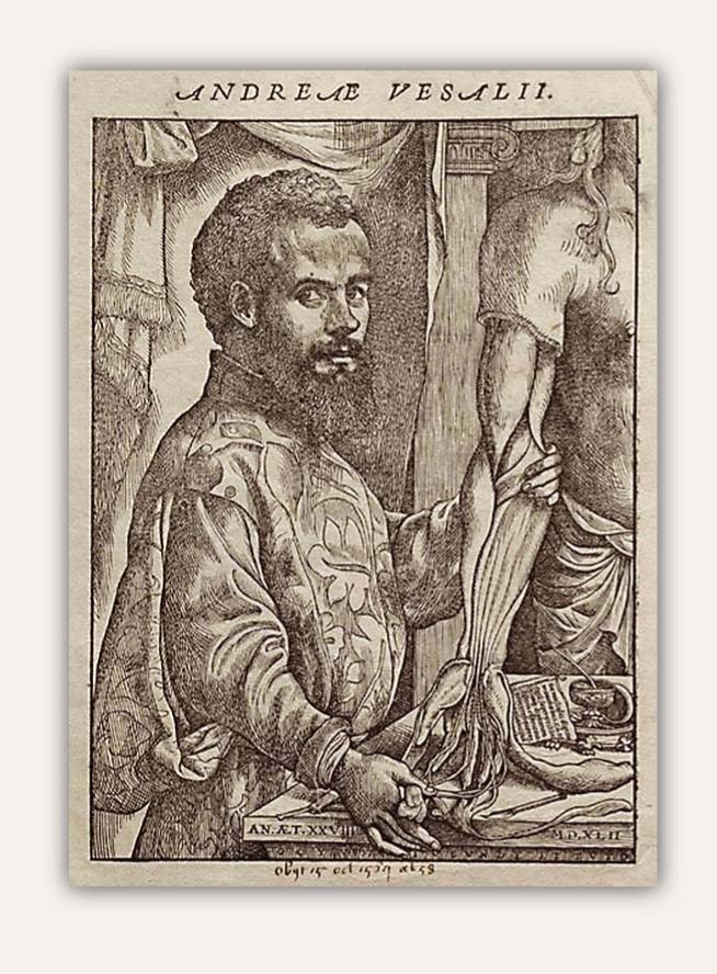Jana van Kalkara  zīmēts Vezālija portrets