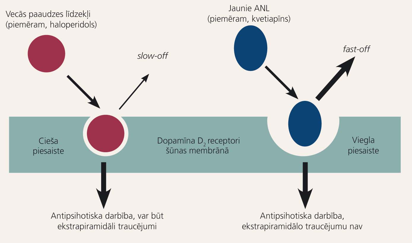 ANL darbības modelis dopamīna receptoros