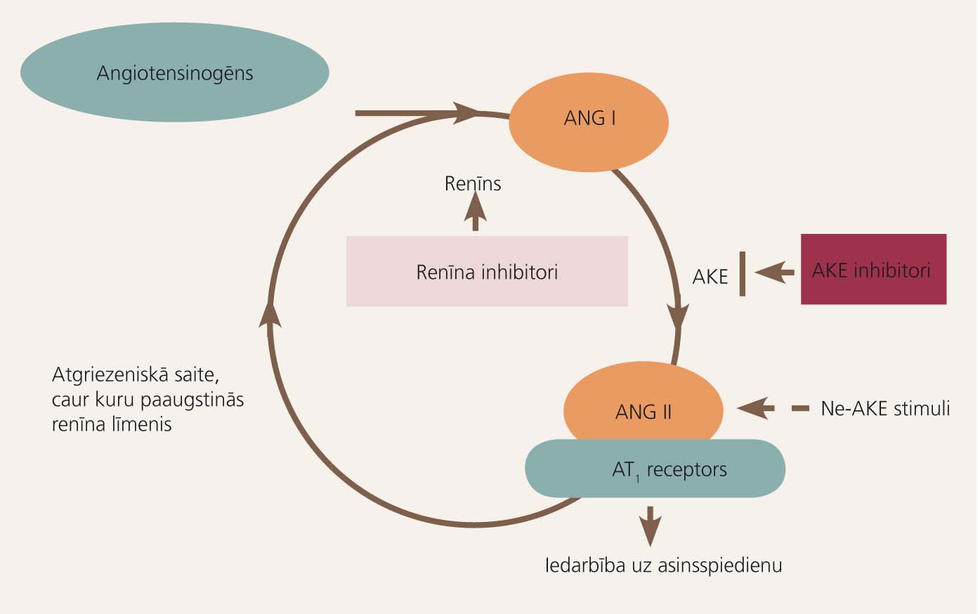 Aliskirēns: pirmais renīna inhibitors klīniskai praksei