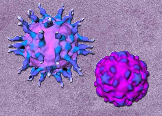 Enterovīrusu cirkulācijas monitoringā izdalīts poliomielīta vīruss