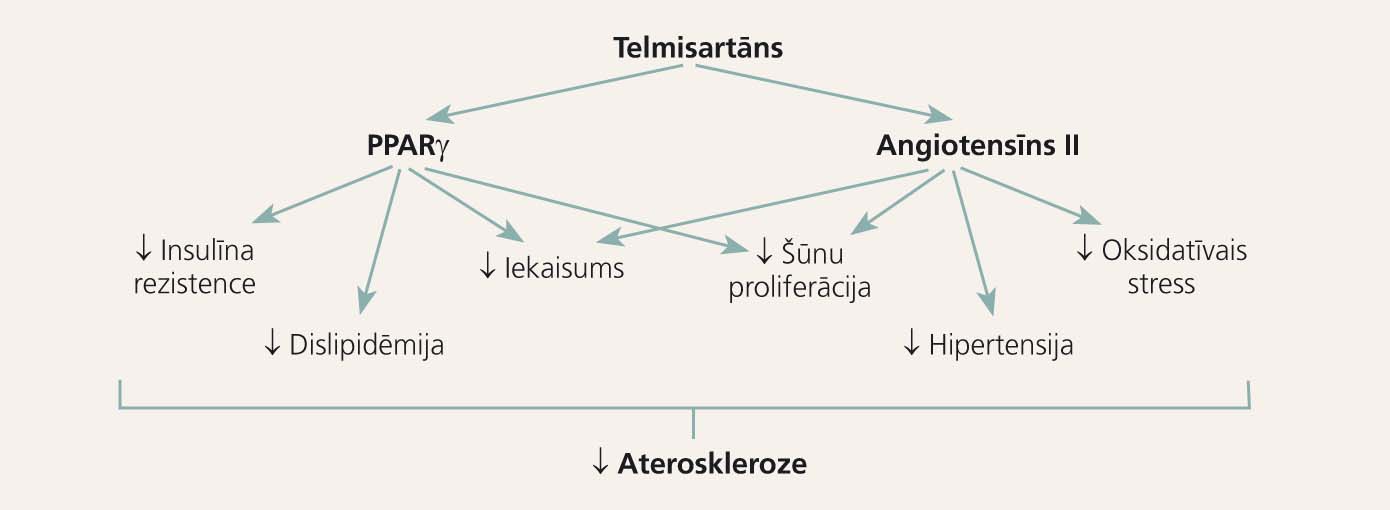 Telmisartāna potenciālais antiaterosklerotiskais mehānisms