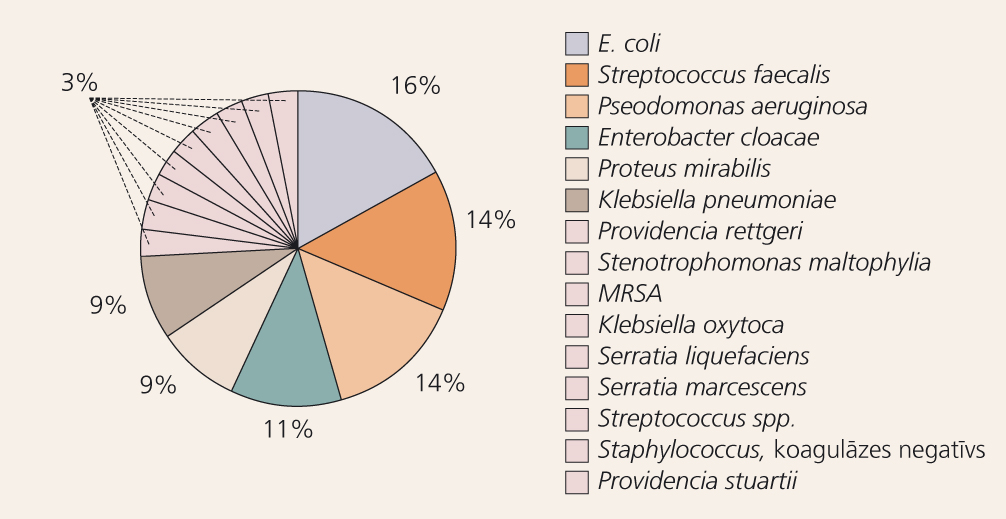 Urīnceļu infekciju ierosinātāji (%)
