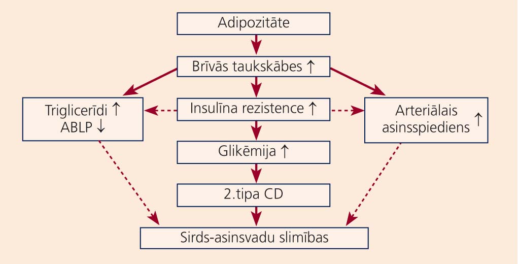 Adipozitātes saistība ar 2.tipa cukura diabētu
