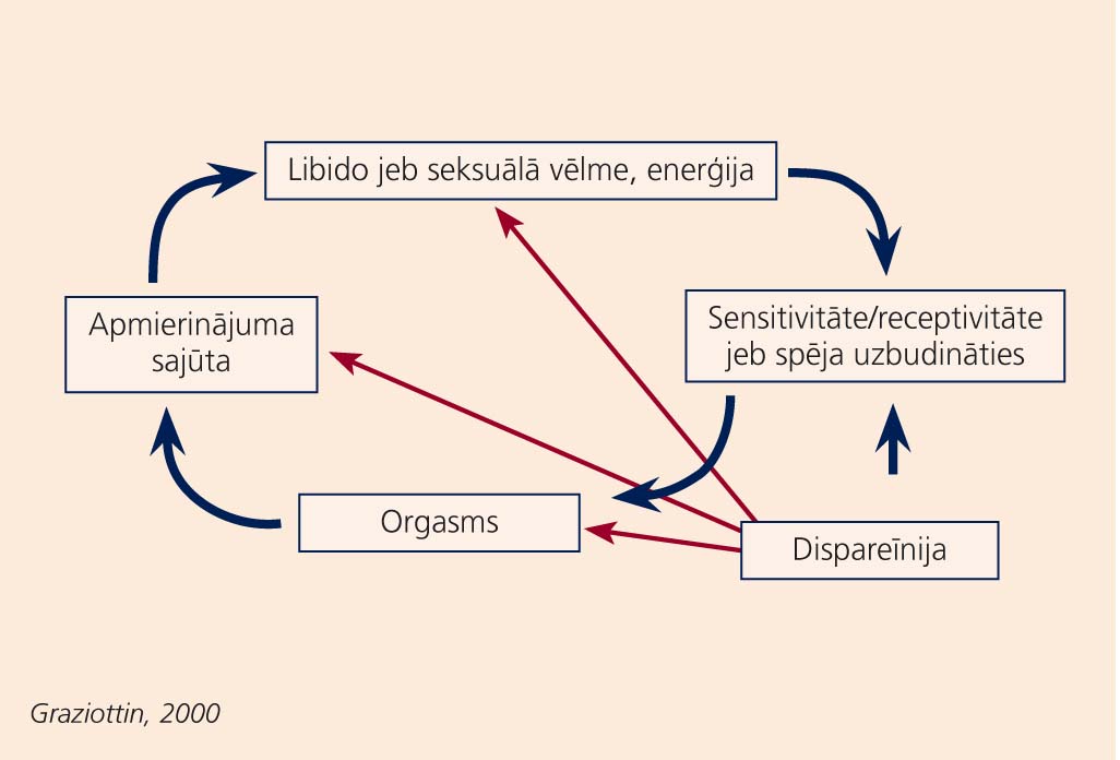 Sievietes seksuālās funkcijas cirkulārais modelis