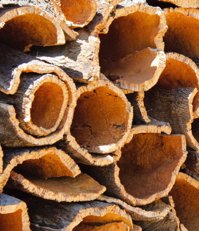 Grēdā saliktas korķa koka mizas – lielā Alentežu bagātība. 40% no pasaules korķa pārstāv Portugāle!