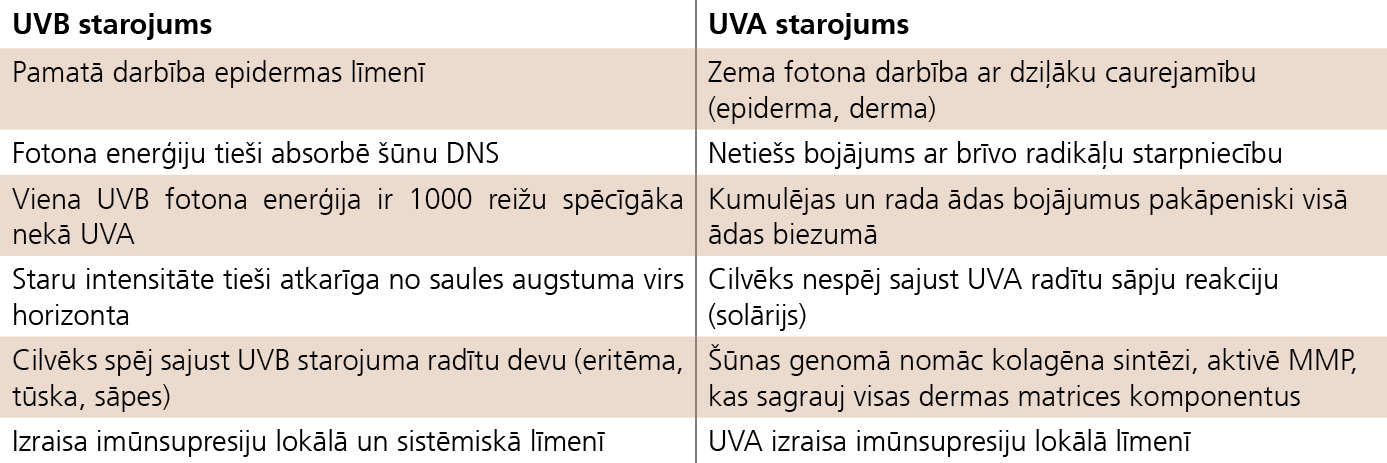 UVB un UVA starojuma darbības mehānisma salīdzinājums ādā [3; 4]