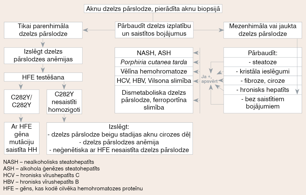 Diagnostikas algoritms audu dzelzs pārslodzes terapijai (pēc European Association  for the Study of the Liver. EASL Clinical Practice Guidelines for HFE Hemochromatosis, 2010)