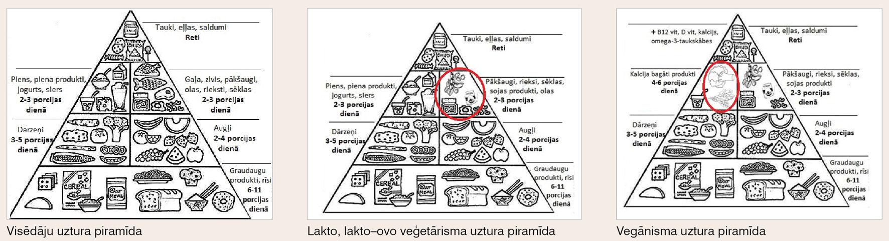 Visēdāju, lakto, lakto–ovo veģetārisma un vegānisma uztura piramīda