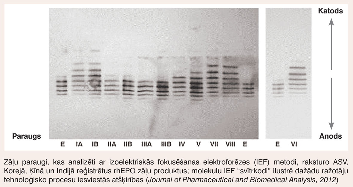Cilvēka rekombinētais eritropoetīns (rhEPO), kas iegūts ar identisku DNS