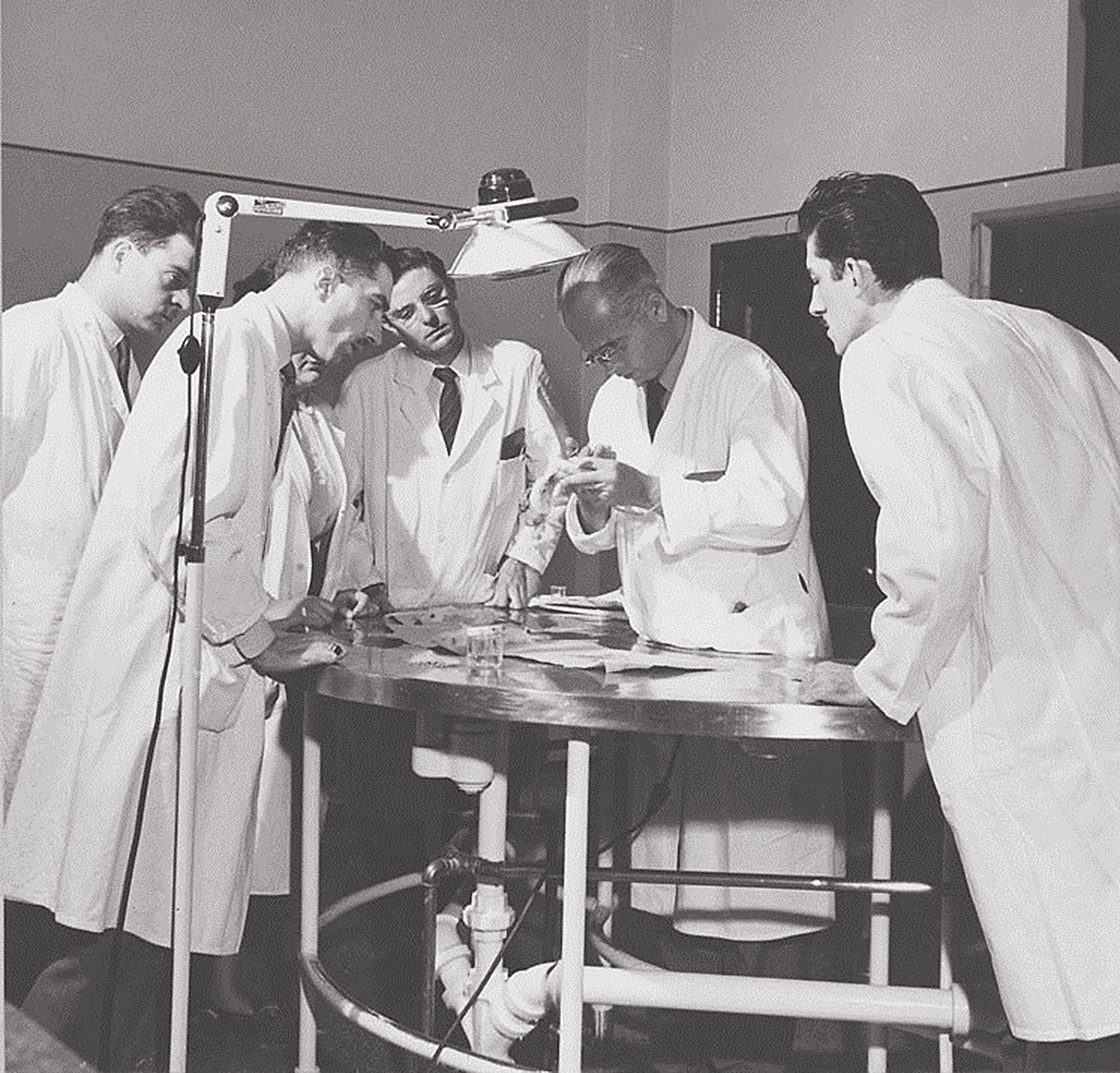 Hans Selje demonstrē žurkas orgānu izmaiņas stresa ietekmē. Viņš ievēroja, ka pēc pakļaušanas  negatīviem kairinātājiem — injekcijām, troksnim, salšanai, pārkaršanai — dzīvnieki novājē,  virsnieru dziedzeris strādā hiperaktīvā režīmā, parādās limfātiskās