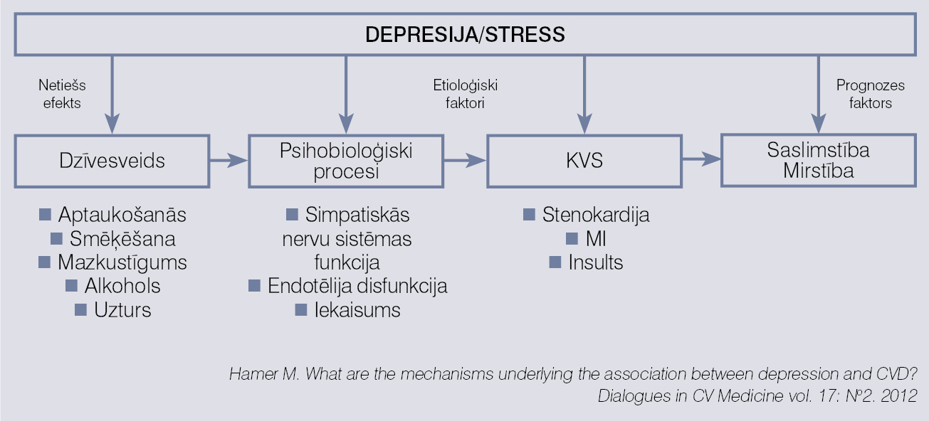 Depresijas un KVS iespējamā saistība