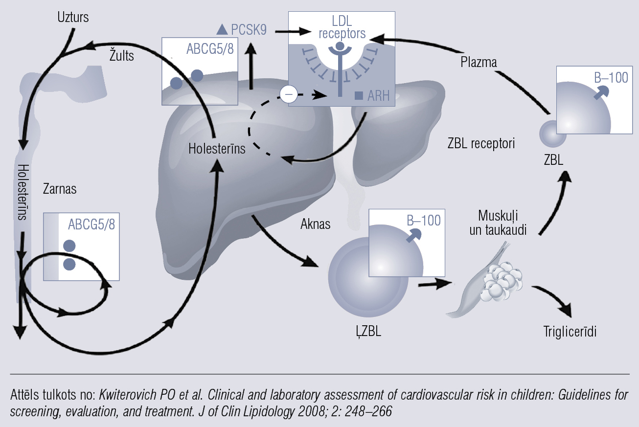 Ģenētiski lipoproteīnu metabolisma traucējumi,  kas izpaužas ar zema blīvuma lipoproteīnu līmeņa paaugstināšanos un agrīnu aterosklerozi