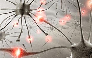 Sirdsdarbības frekvences variabilitāte ļauj prognozēt epilepsijas lēkmes