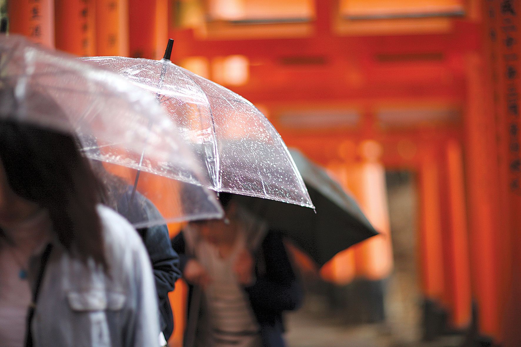 “Caurspīdīgie  lietussargi  ir mans Japānas  skaistuma  simbols”