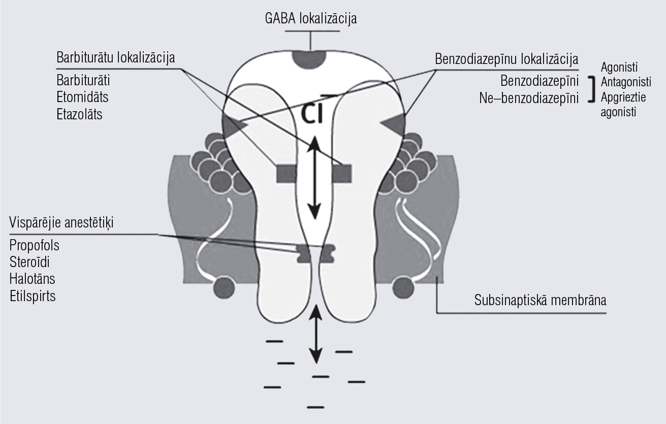 GABA receptoru komplekss