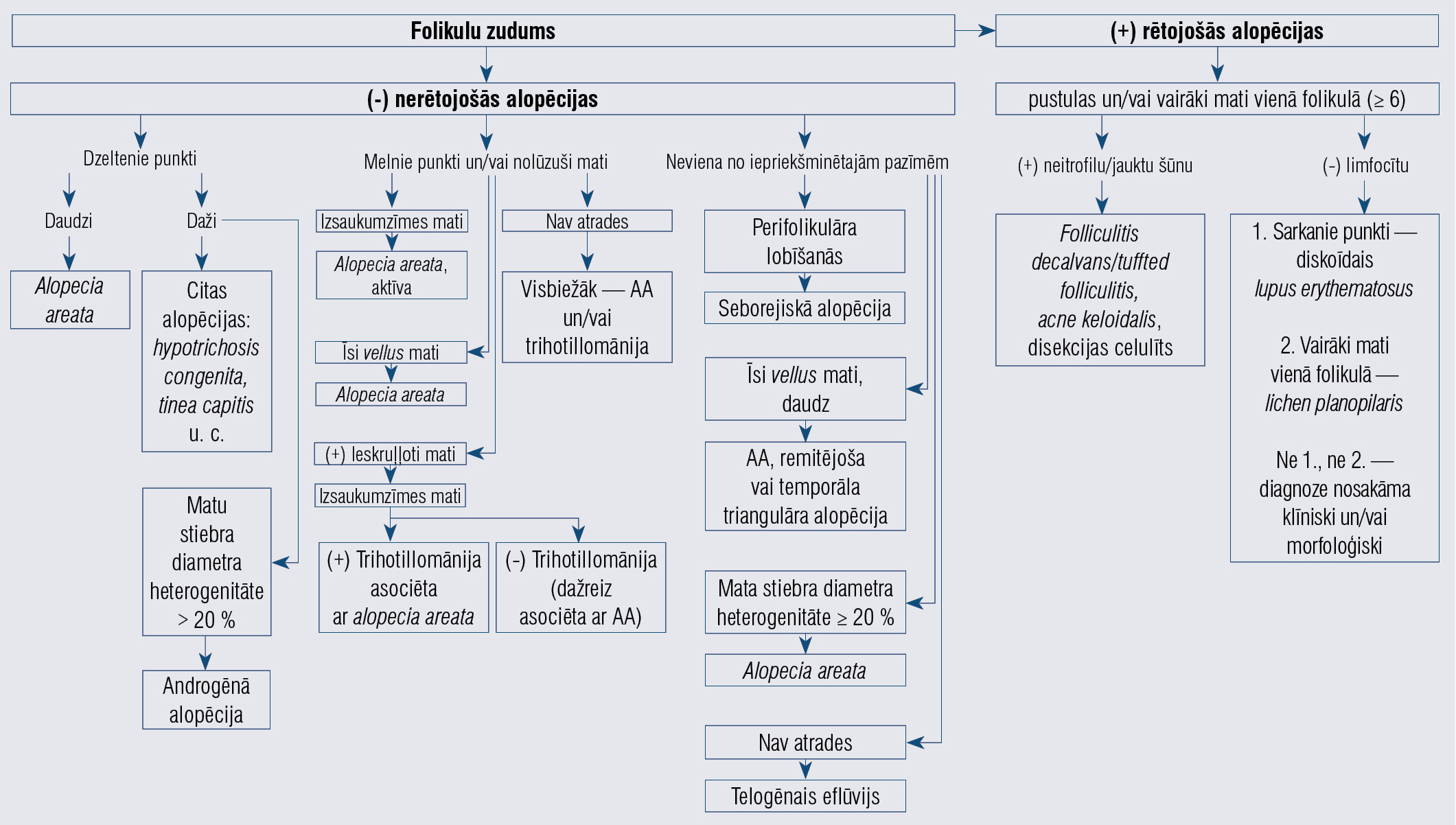 Trihoskopijas pazīmju algoritms alopēciju diagnozei [34]
