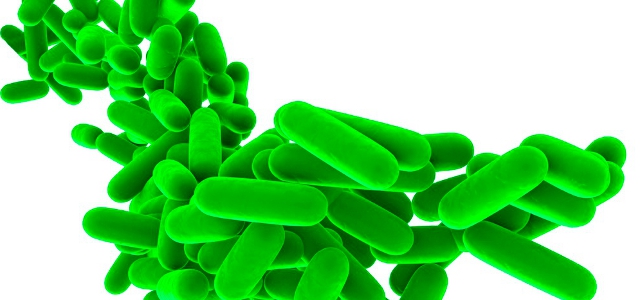 Probiotikas: zināmais un mazāk zināmais