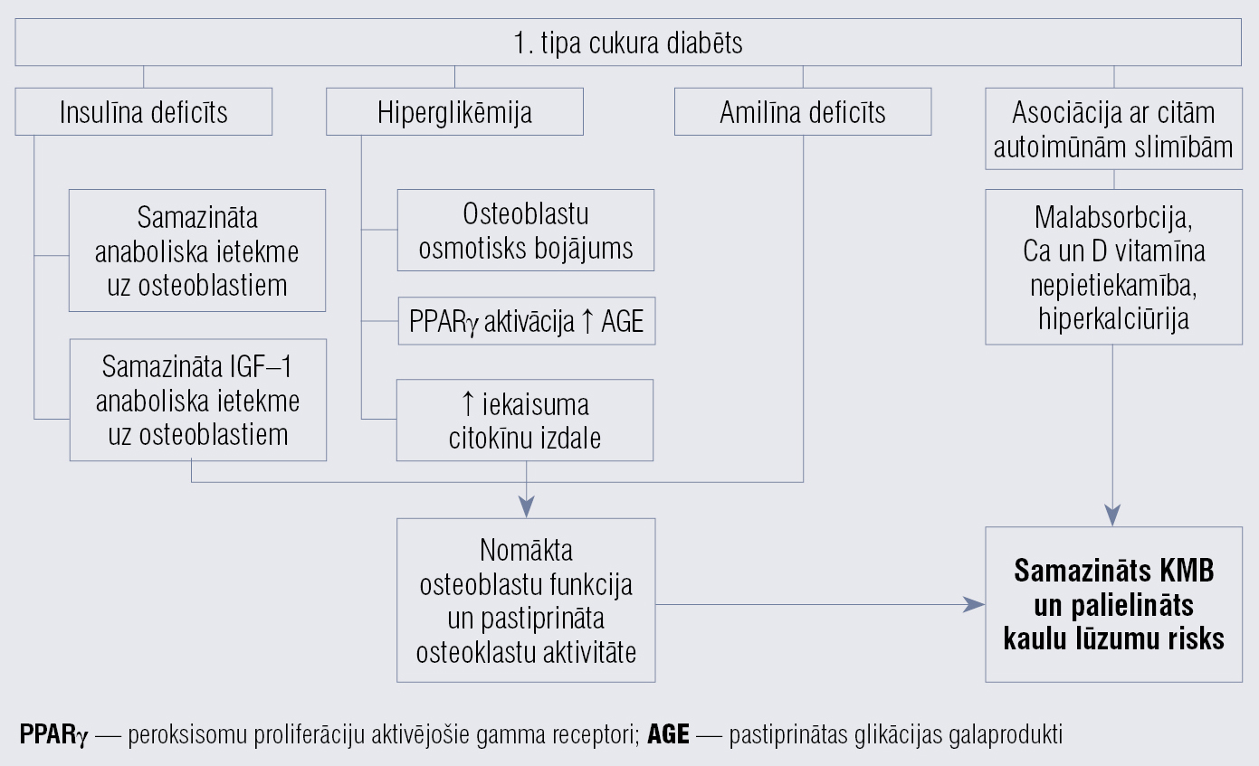 Kaulu metabolismu ietekmējošie faktori pacientiem ar 1. tipa cukura diabētu [5]