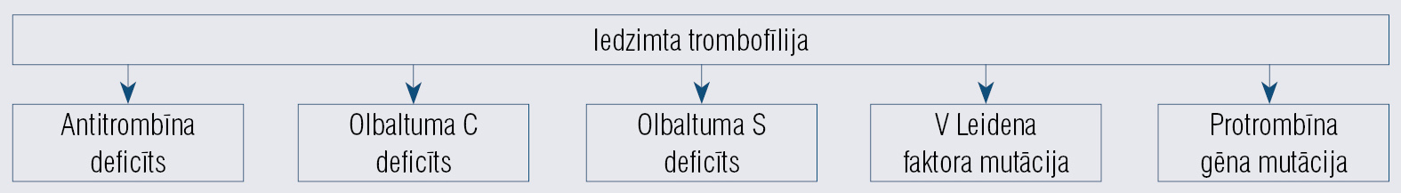 Iedzimtas trombofīlijas veidi [8]