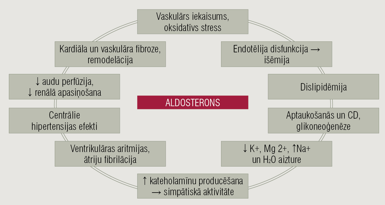 Aldosterona funkcijas