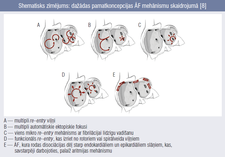 Shematisks zīmējums: dažādas pamatkoncepcijas ĀF mehānismu skaidrojumā [8]