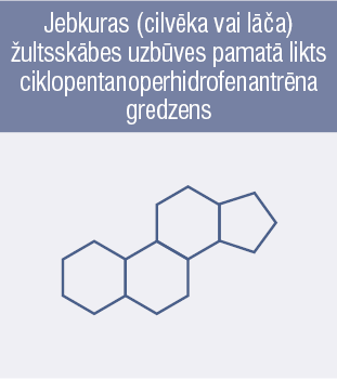 Jebkuras (cilvēka vai lāča) žultsskābes uzbūves pamatā likts ciklopentanoperhidrofenantrēna gredzens