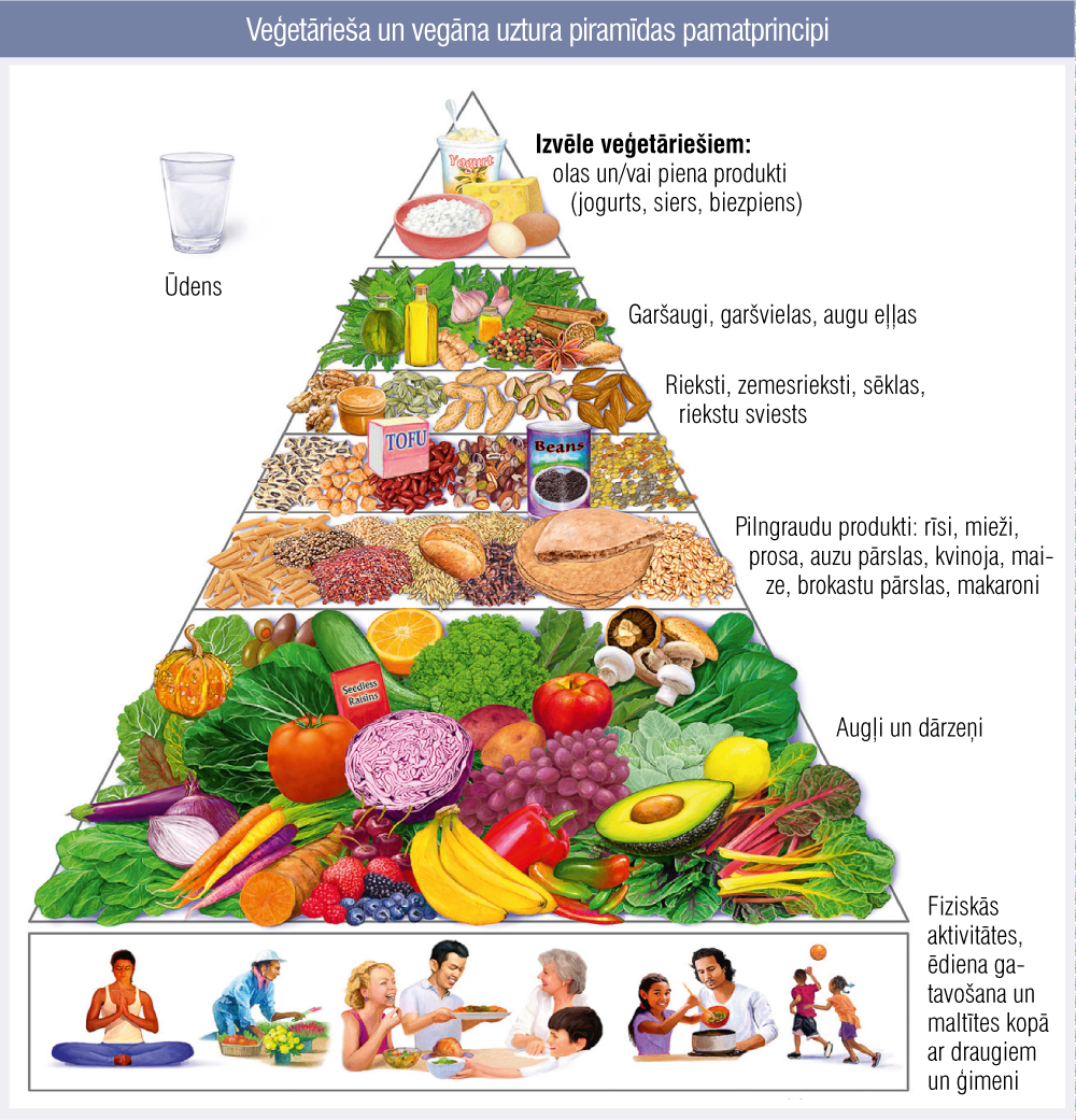 Veģetārieša un vegāna uztura piramīdas pamatprincipi