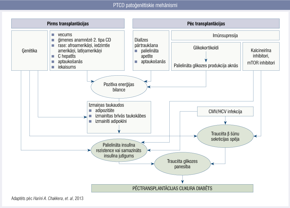 PTCD patoģenētiskie mehānismi