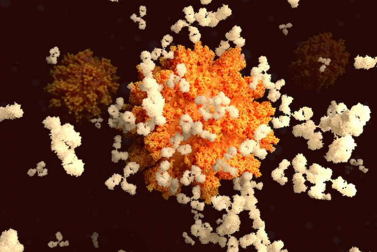 Cilvēkiem ar SARS-CoV-2 antivielām ir zems atkārtotas infekcijas risks