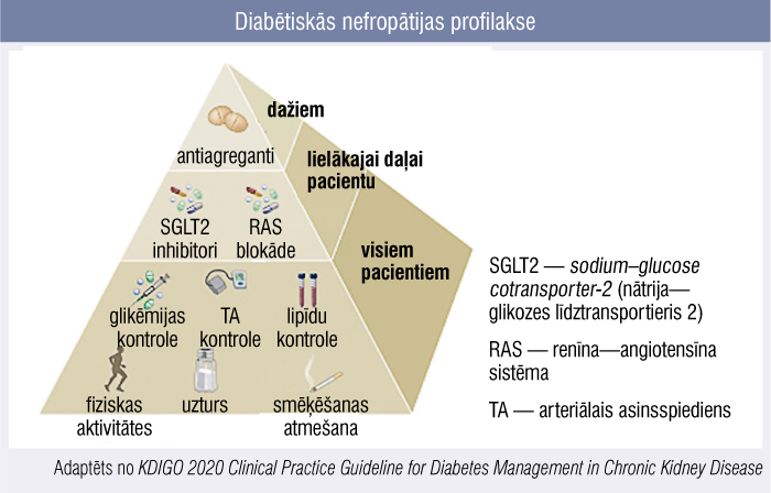 Diabētiskās nefropātijas profilakse