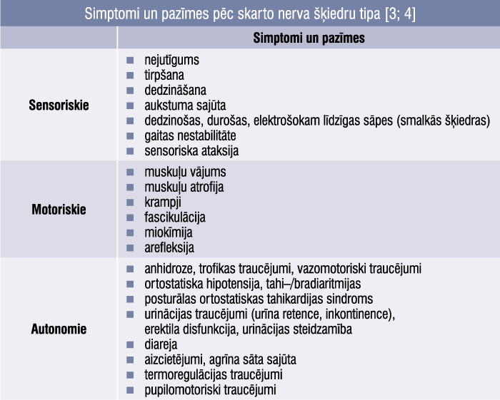 Simptomi un pazīmes pēc skarto nerva šķiedru tipa [3; 4]