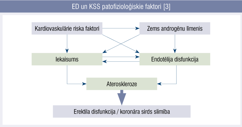 ED un KSS patofizioloģiskie faktori [3]