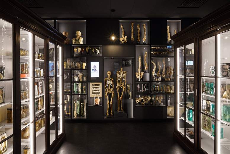 RSU Anatomijas muzejs