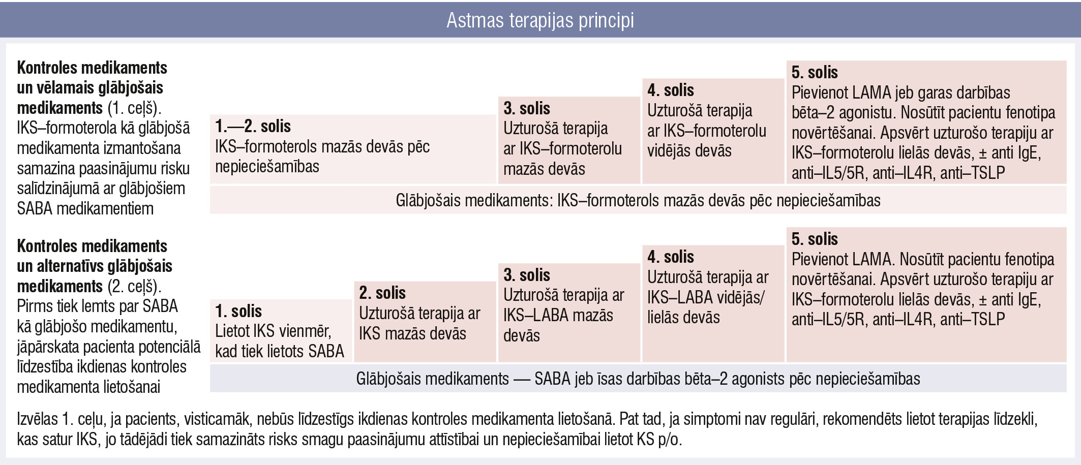 Astmas terapijas principi
