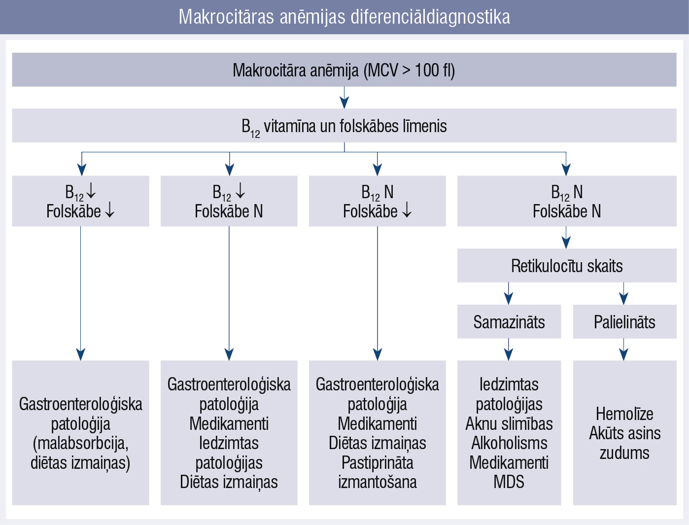 Makrocitāras anēmijas diferenciāldiagnostika