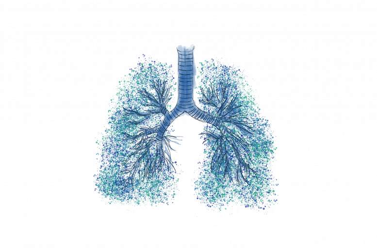 Bronhiālās astmas vai HOPS paasinājums. Rīcība darbā ar pieaugušiem pacientiem