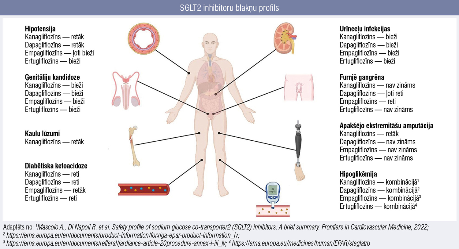 SGLT2 inhibitoru blakņu profils