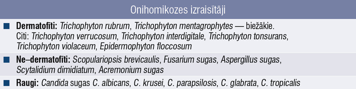 Onihomikozes izraisītāji