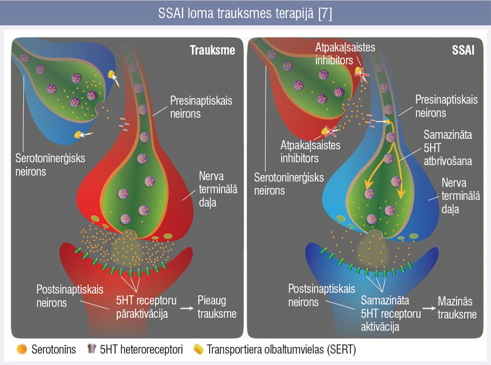 SSAI loma trauksmes terapijā [7]