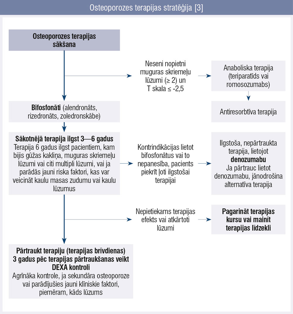 Osteoporozes terapijas stratēģija [3]