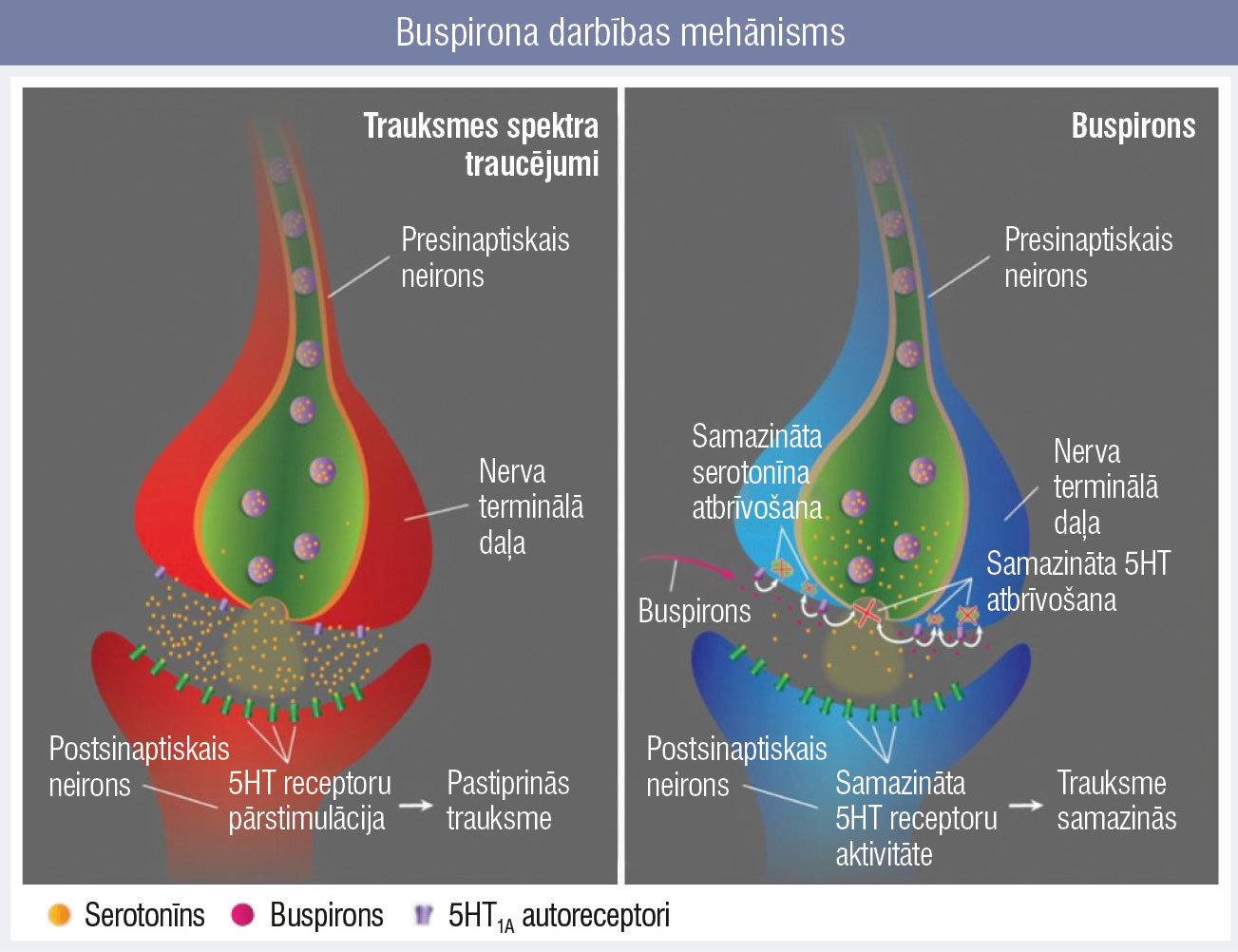 Buspirona darbības mehānisms