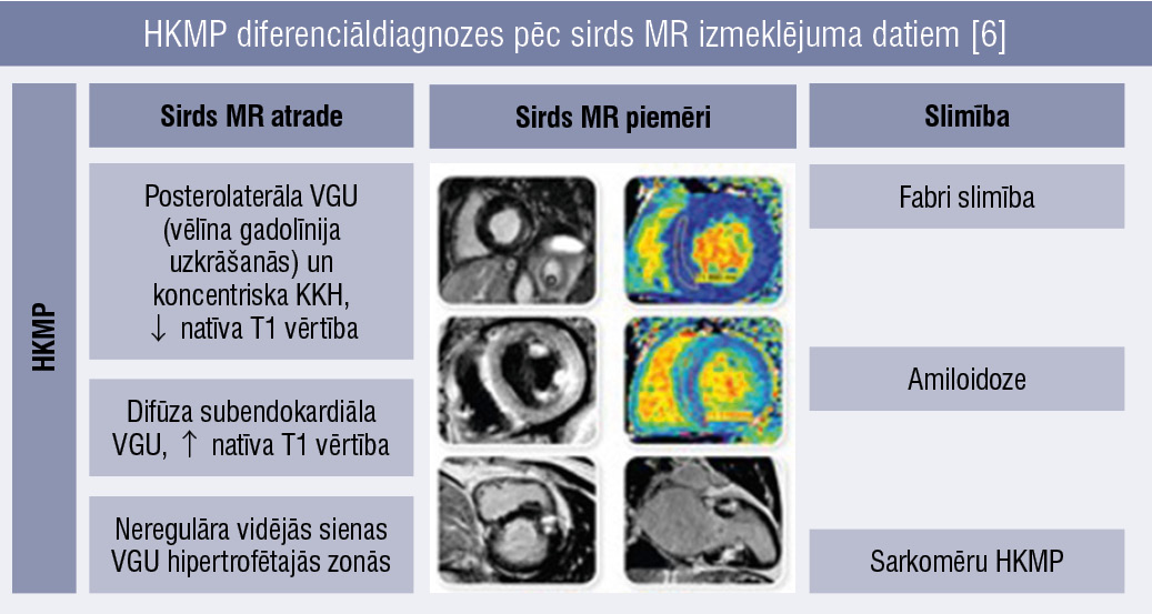 HKMP diferenciāldiagnozes pēc sirds MR izmeklējuma datiem [6]
