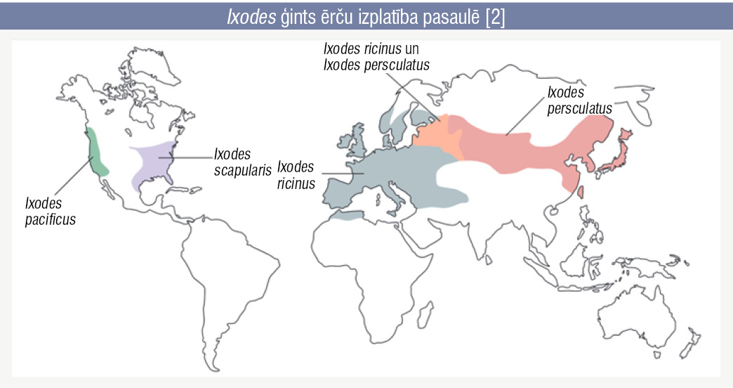 Ixodes ģints ērču izplatība pasaulē [2]