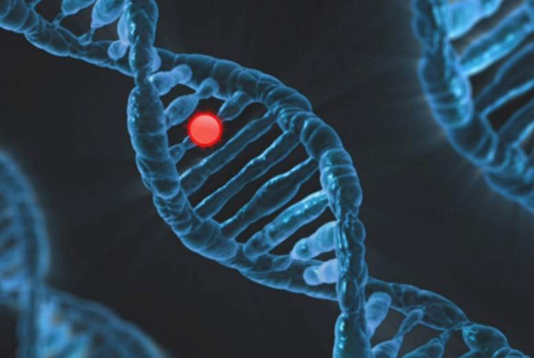 Vēža predispozīcijas gēni pacientiem ar vienu vai vairākām onkoloģiskām diagnozēm