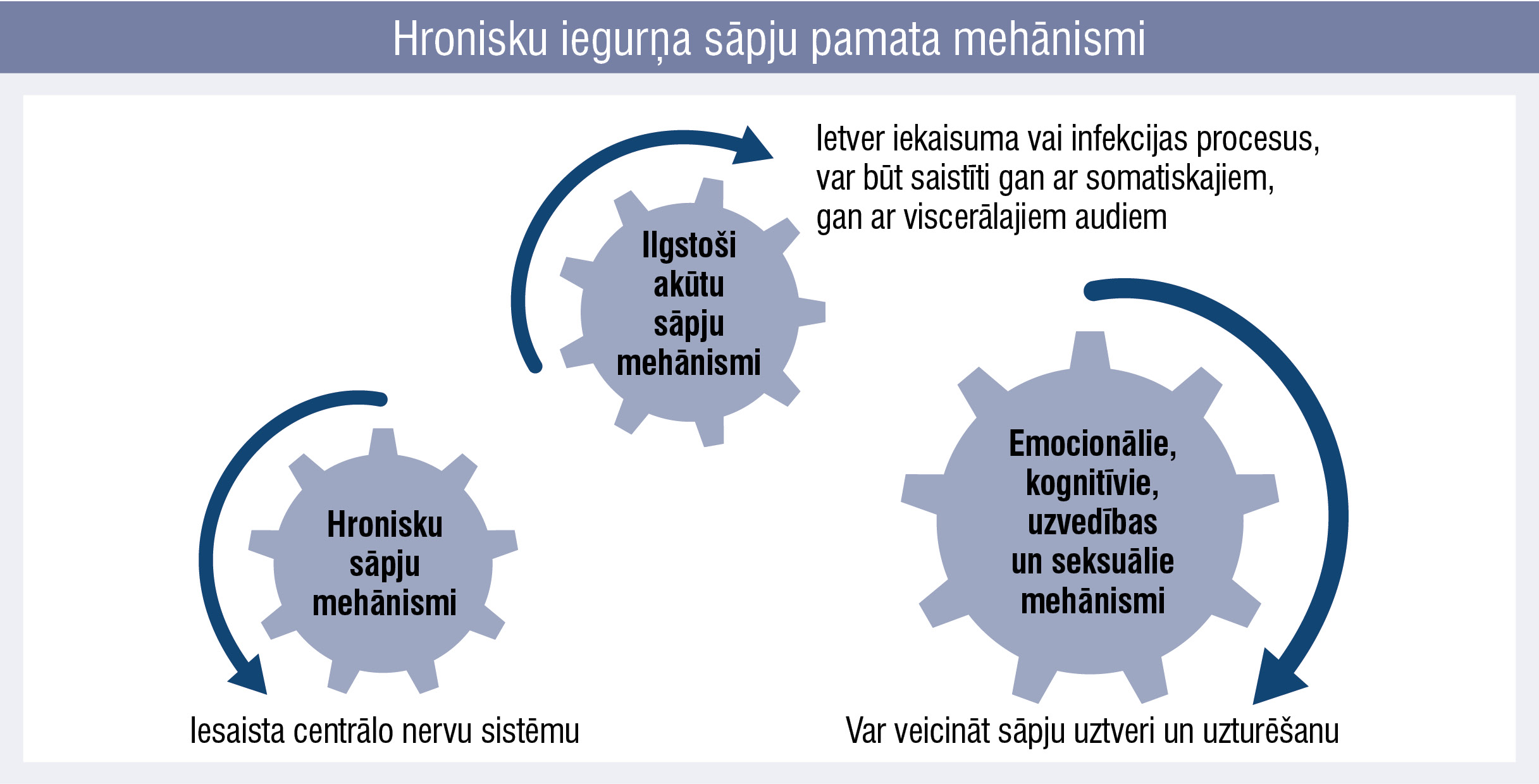 Hronisku iegurņa sāpju pamata mehānismi