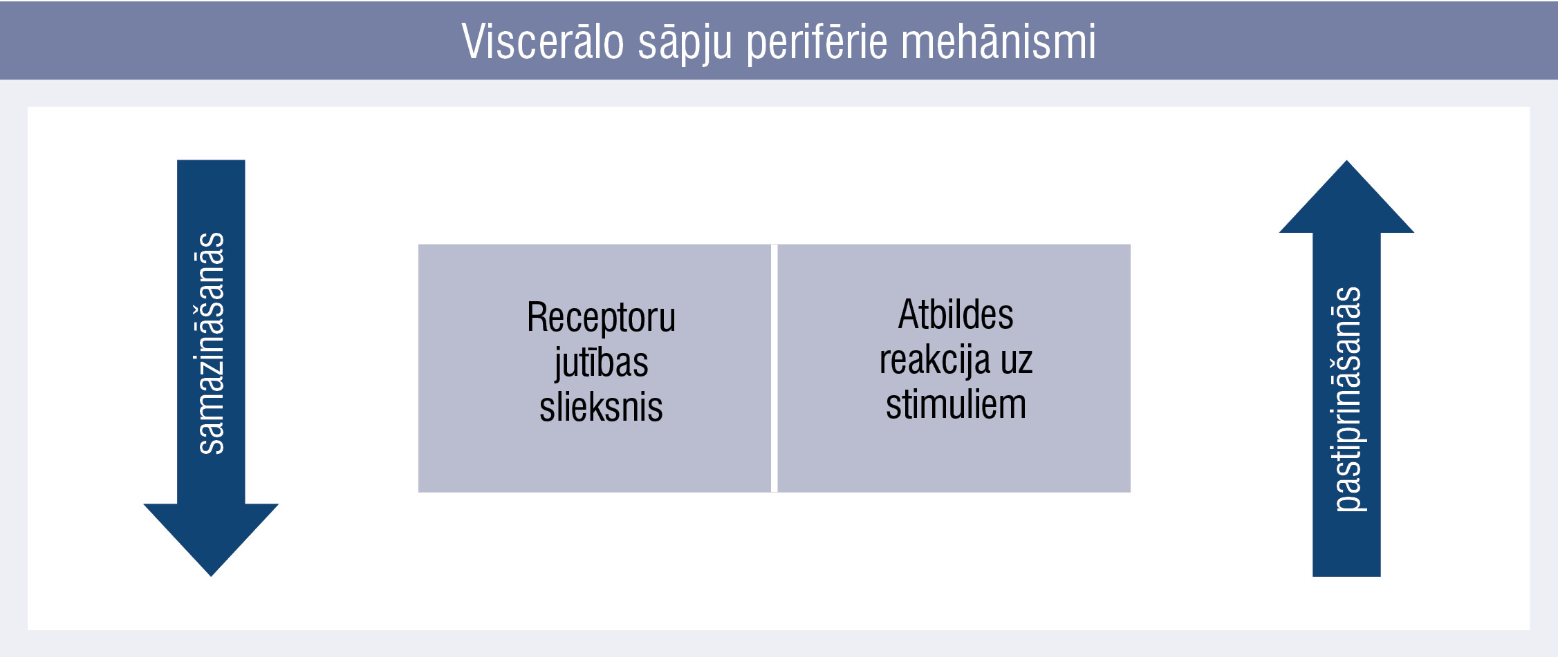 Viscerālo sāpju perifērie mehānismi